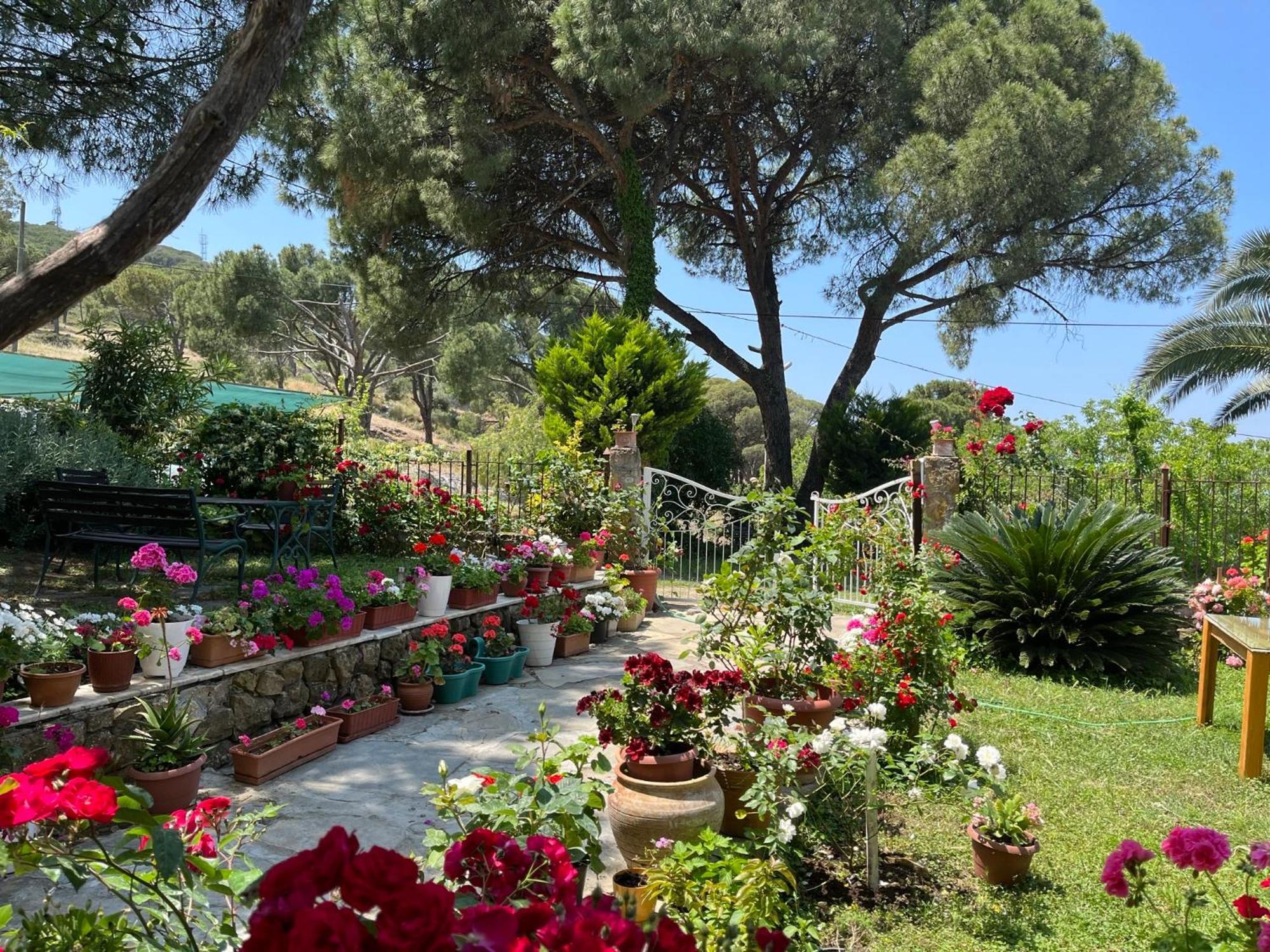 Gunebakan Taliani Hotel Ayvalik Ngoại thất bức ảnh